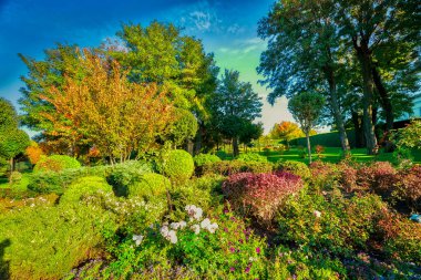 Mavi gökyüzünde sonbahar ağaçları. Güzel güneşli bir günde Hindistan yazında altın, kırmızı, sarı, yeşil, turuncu sonbahar ağaçları. Çevre koruma, Doğa Koruma. Altın Saat - güneş batmadan önce, ışık her zamankinden daha kırmızı ve yumuşak olduğunda 