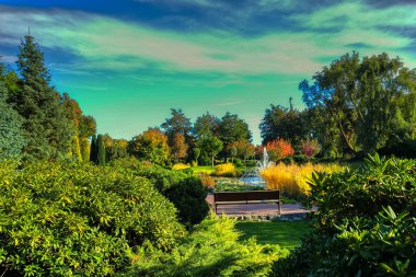 Sonbahar manzarası halk parkı sonbahar sezonu. Halk parkında sonbahar ağaçları. Hindistan Yaz Parkı güneşli bir günde. Dünya Günü kavramı. Çevre koruma, Doğa Koruma. Altın Saat