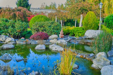 Sonbahar manzara tasarımı, kamu parkındaki Alpine Hill 'in sonbahar sezonu, güzel güneşli bir günde Hindistan Yaz Parkı' nda altın, kırmızı, sarı, yeşil, turuncu sonbahar ağaçları da dahil olmak üzere. Altın Saat
