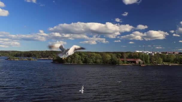 Tallinn Estonya Daki Sveç Limanından Baltık Denizi Dolaşın Mavi Gökyüzü — Stok video