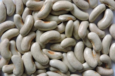 Kuru açık kahverengi fasulye tohumları yakın plan, beyaz arkaplan