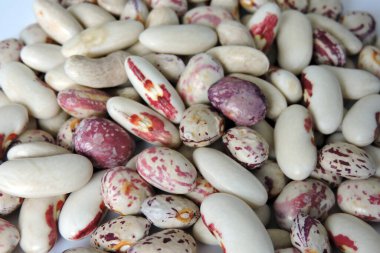 Yakından renkli fasulyeler.