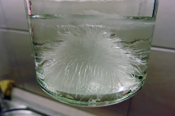 Derretimiento Agua Congelada Dentro Vaso Fondo Blanco —  Fotos de Stock
