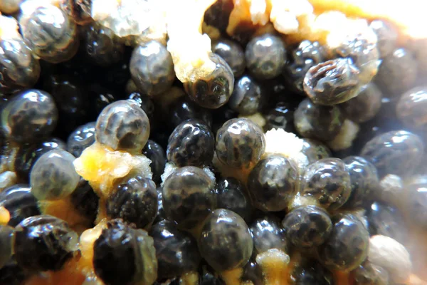 半角に切ったパパイヤの果実の黒の種のクローズアップ — ストック写真