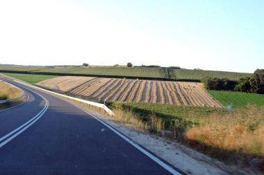 Tarlaların görüntüsü ve ön camdan geçen boş bir yol