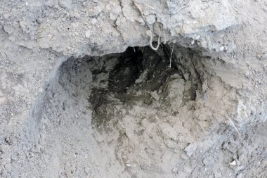 Yerdeki bir oyuğun görüntüsü