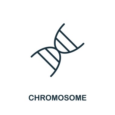 Kromozom ikonu. Biyomühendislik koleksiyonundan tek renk işareti. Web tasarımı, bilgi grafikleri ve daha fazlası için yaratıcı Kromozom simgesi çizimi