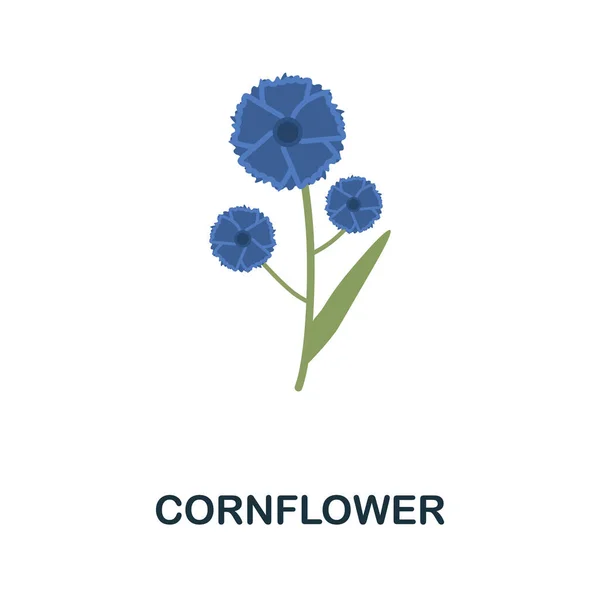 矢车菊扁平图标。颜色元素标志从花卉收集。平面Cornflower图标标志，用于网页设计、信息图形等. — 图库矢量图片