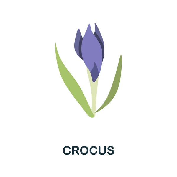 Icono plano de cocodrilo. Signo de elemento de color de la colección de flores. Signo de icono de Flat Crocus para diseño web, infografías y más. — Vector de stock