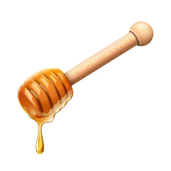 Honey dipper vector — Stock Vector