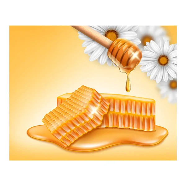 Miel abeja producto alimenticio plantilla vector — Vector de stock