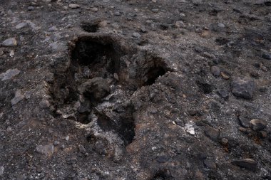 Orman yatağında bırakılan boşluk bir yangında bir ağacın tamamen yanıp kül olduğu yer..