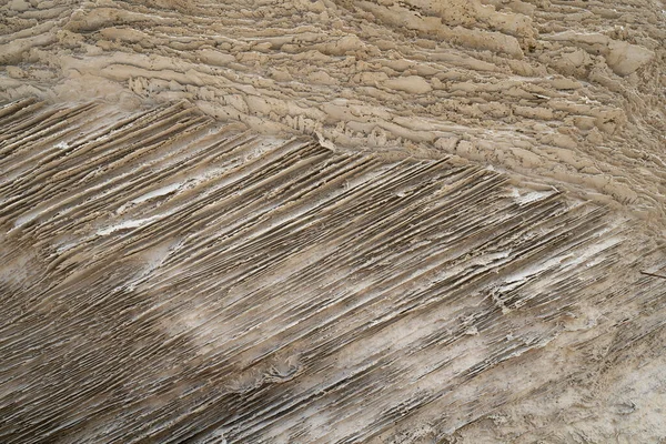 Una Vista Ravvicinata Del Grainstone Rocce Kurkar Tipiche Delle Coste — Foto Stock