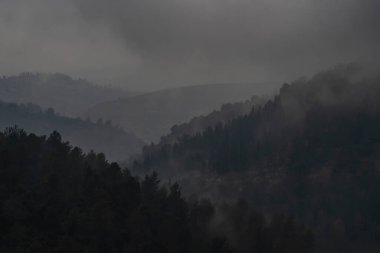 Kudüs, İsrail yakınlarındaki Judea dağlarında karanlık, sisli, bulutlu bir kış günü.