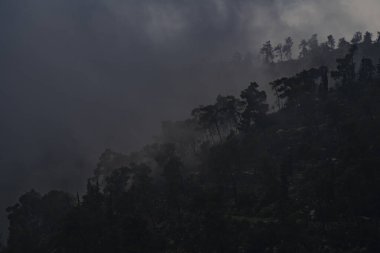 Kudüs, İsrail yakınlarındaki Judea dağlarında karanlık, sisli, bulutlu bir kış günü.