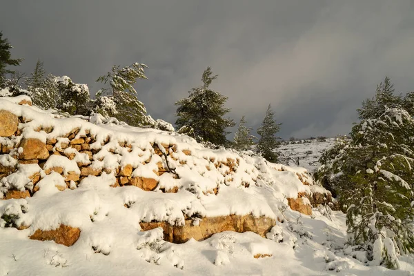 Snö Täcker Judeen Bergen Nära Jerusalem Israel Gryningen — Stockfoto