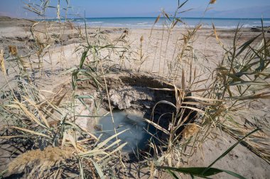 Sazlıklarla çevrili bir subatan, ölü deniz kıyısının yanında, İsrail.