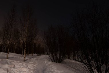 Finlandiya, Rovaniemi yakınlarındaki donmuş Kemijoki nehrinin kıyısındaki karlı orman yolunun gece manzarası.