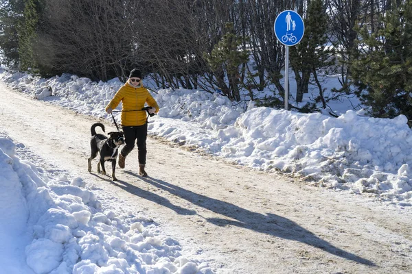 Рованиеми Финляндия Марта 2022 Года Молодая Женщина Выгуливает Свою Собаку — стоковое фото