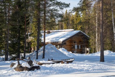 Rovaniemi, Finlandiya - 17 Mart 2022: Güneşli bir kış gününde, karlı bir köknar ormanında ahşap bir kulübe ve eski bir tekne.