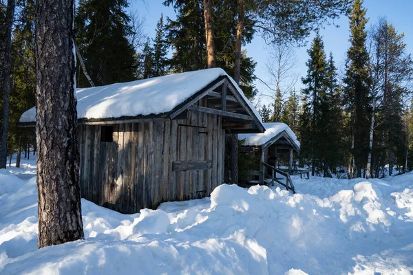 Rovaniemi Finlandia Marzo 2022 Cobertizos Madera Bosque Abeto Nevado Día — Foto de Stock