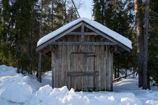 Рованиеми Финляндия Марта 2022 Года Деревянный Сарай Снежном Еловом Лесу — стоковое фото