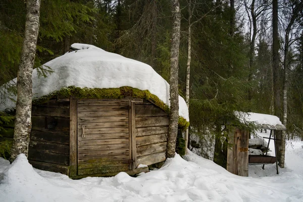 Rovaniemi Finland March 18Th 2022 Wooden Shed Snowy Fir Forest — Stock Photo, Image