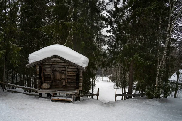 Rovaniemi Finnland März 2022 Ein Holzschuppen Einem Verschneiten Tannenwald Finnland — Stockfoto