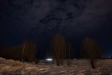 Finlandiya 'da, kısmen bulutlu bir gökyüzünün altında donmuş bir nehrin kıyısındaki yapraksız huş ağaçlarının gece sahnesi..