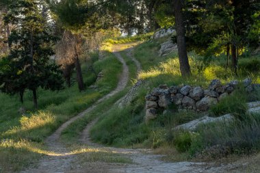 İsrail 'in Kudüs yakınlarındaki dağlarda, bir bahar gününün şafağında bir patika..