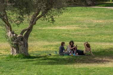 Jerusalem, Israel - June 11th, 2022: Three young women at a picnic in the shade of an old olive tree, on a sunny day in Jerusalem, Israel.