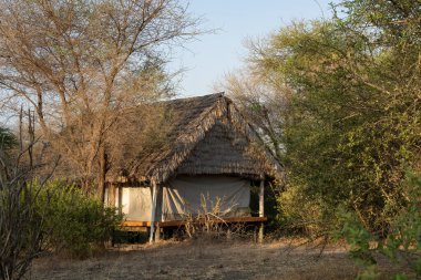 Tarangire, Tanzanya - 12 Ekim 2022: Tarangire bölgesinde bir kulübede şafak vakti.