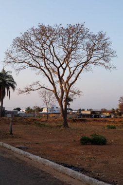 Minas gerais brrazil 'deki fakirhane.