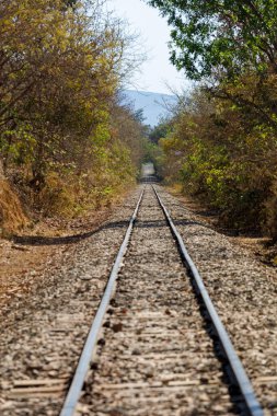 Minas Gerais Brezilya 'nın içindeki demiryolu.