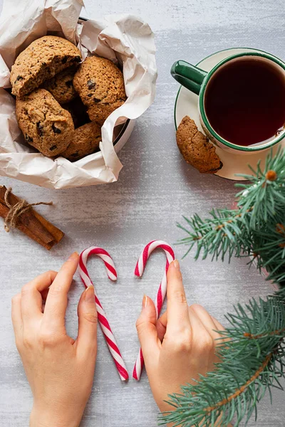 Womans hands with two candy canes, chocolate cookies and a fir tree branch — Stock Photo, Image