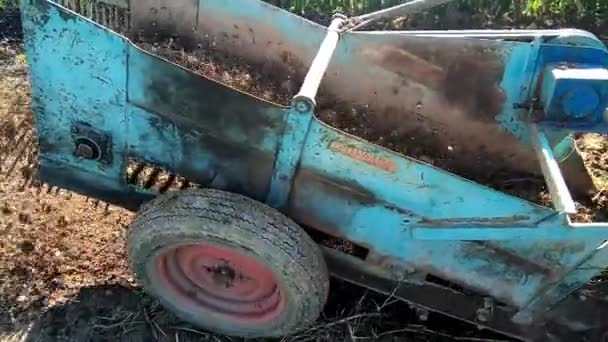Traktor Vytahuje Brambory Země Pomocí Stroje — Stock video
