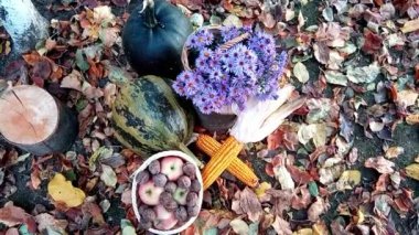  Sonbahar dekoru - çiçekler, cevizli sepet, üzüm, elma ve balkabağı, sarı yapraklı mısır