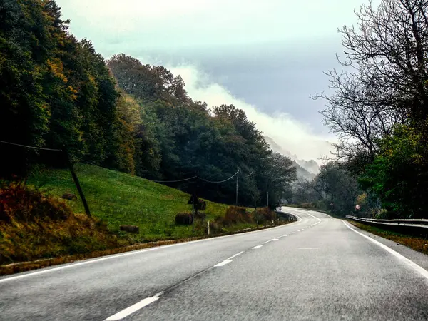 Дорога Деревья Осенью Румыния — стоковое фото