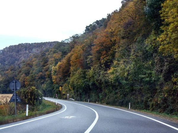 Дорога Деревья Осенью Румыния — стоковое фото