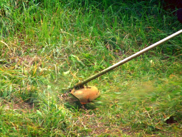 Une Personne Coupe Herbe Avec Une Tondeuse — Photo