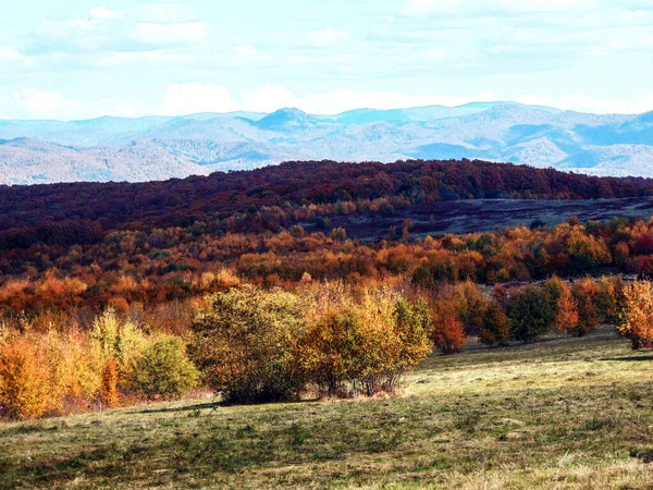 Podzimní Krajina Maramures Rumunsko — Stock fotografie