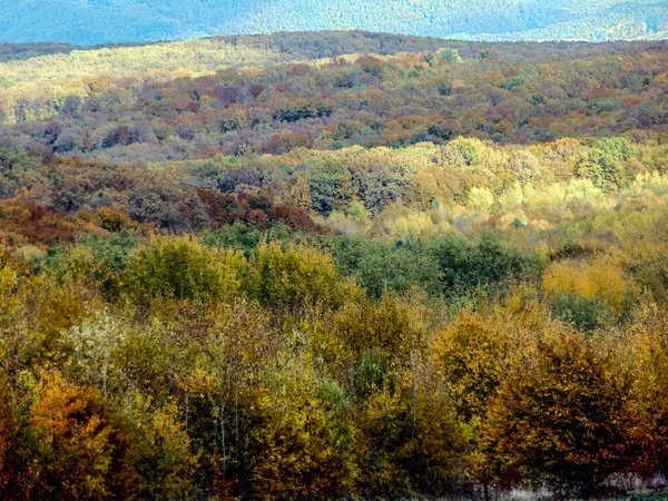Jesienny Krajobraz Maramures Rumunia — Zdjęcie stockowe