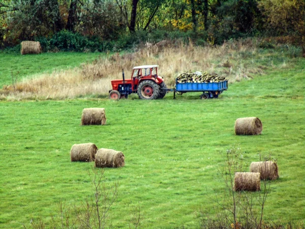 Traktor Med Släpvagn Full Trä Bland Höbalar — Stockfoto