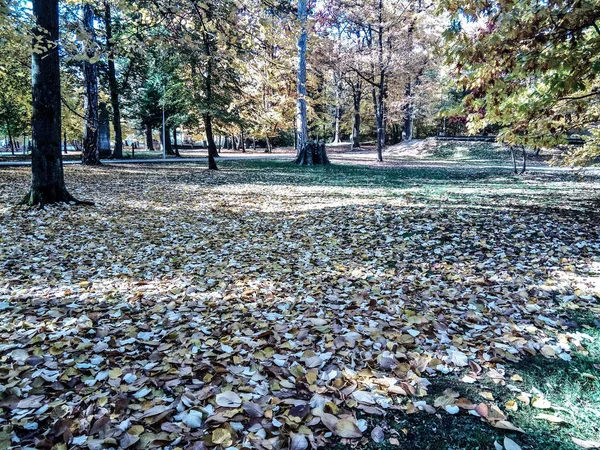 公园的秋季景观 罗马尼亚 — 图库照片