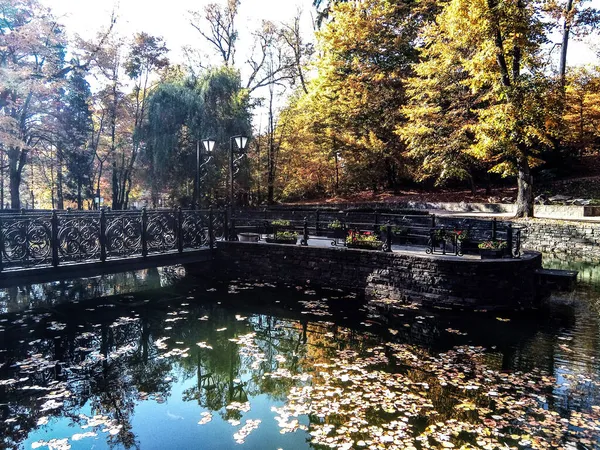 Lake Park Autumn Baia Mare City — Stock Photo, Image