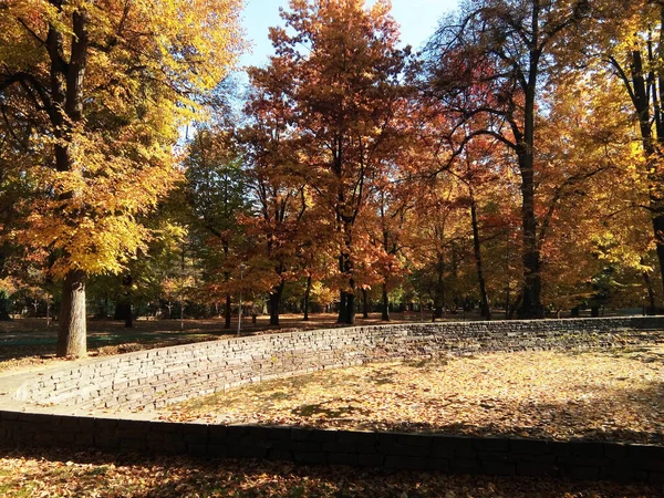 秋天在罗马尼亚的公园里 — 图库照片