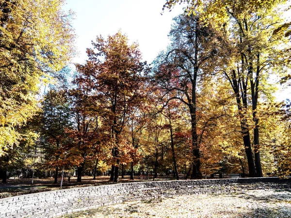 Podzimní Krajina Parku Rumunsko — Stock fotografie