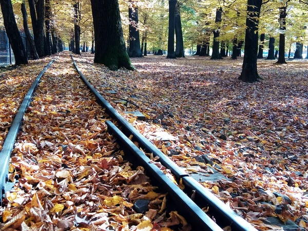 Herbstlaub Über Der Eisenbahn — Stockfoto