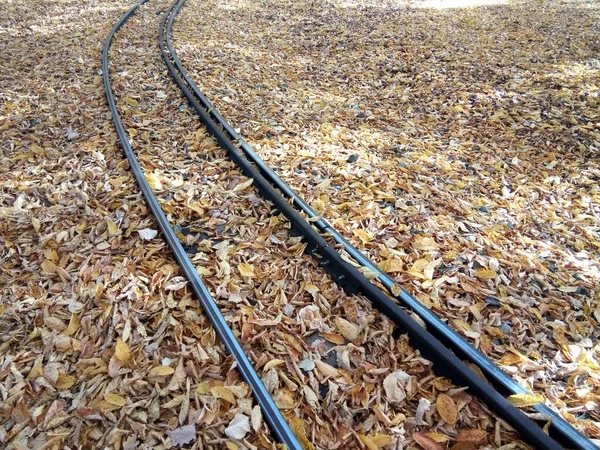 铁路上的秋天树叶 — 图库照片