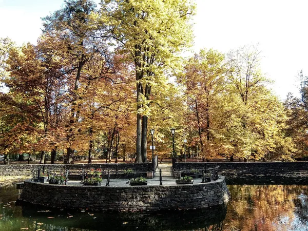 Озеро Парке Осенью Город Байа Маре — стоковое фото